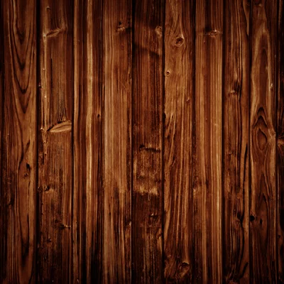Vintage Wood Panel Backdrop
