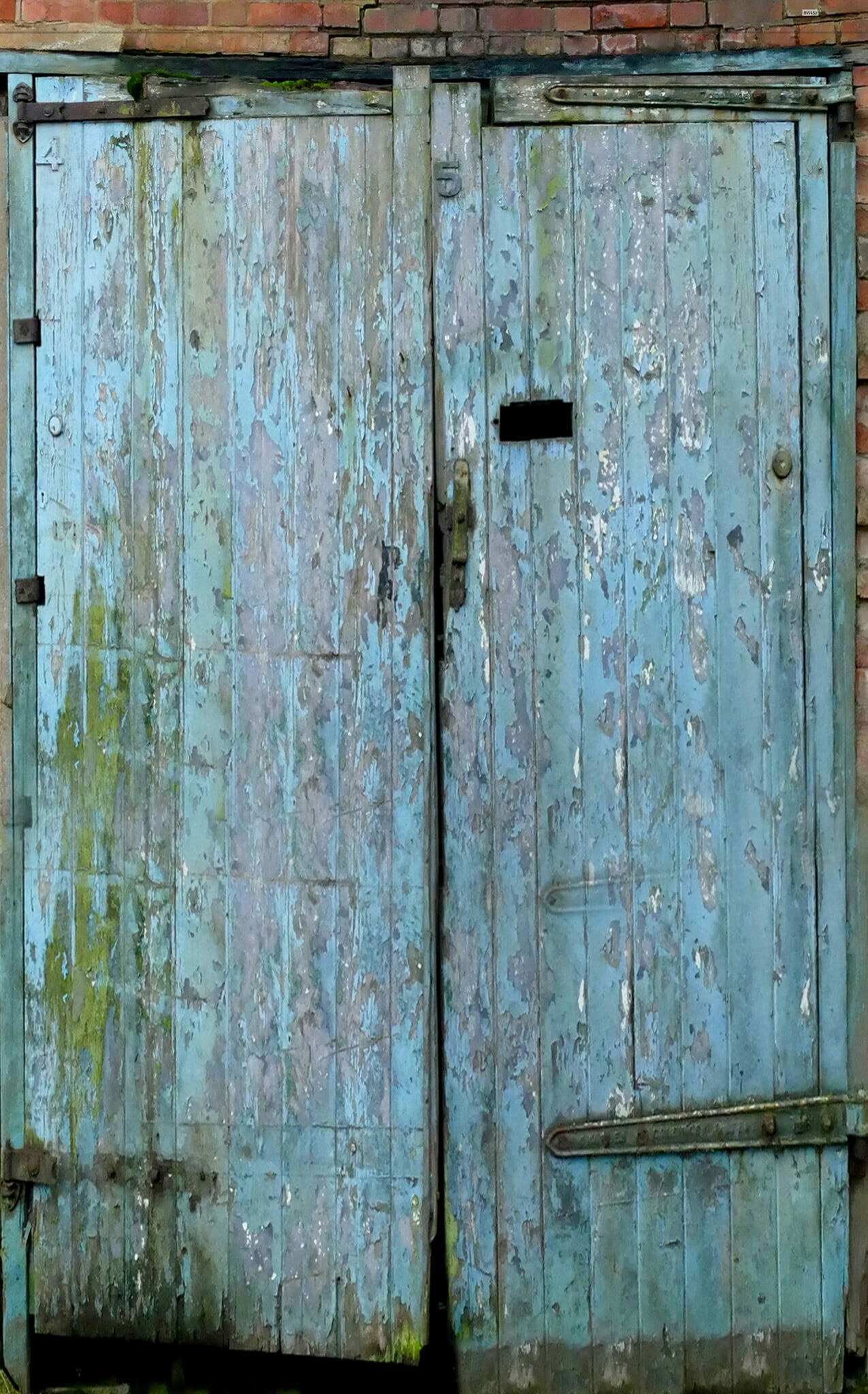 Blue Shed Door Vinyl Photography Backdrop For Studios - Click Props ...